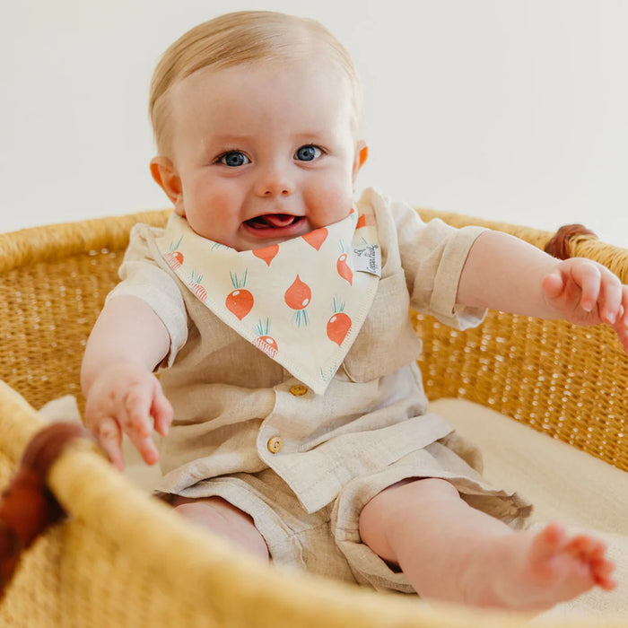 Copper Pearl Baby Bandana Bibs | Veggies