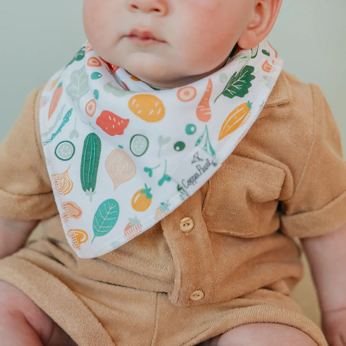 Copper Pearl Baby Bandana Bibs | Veggies